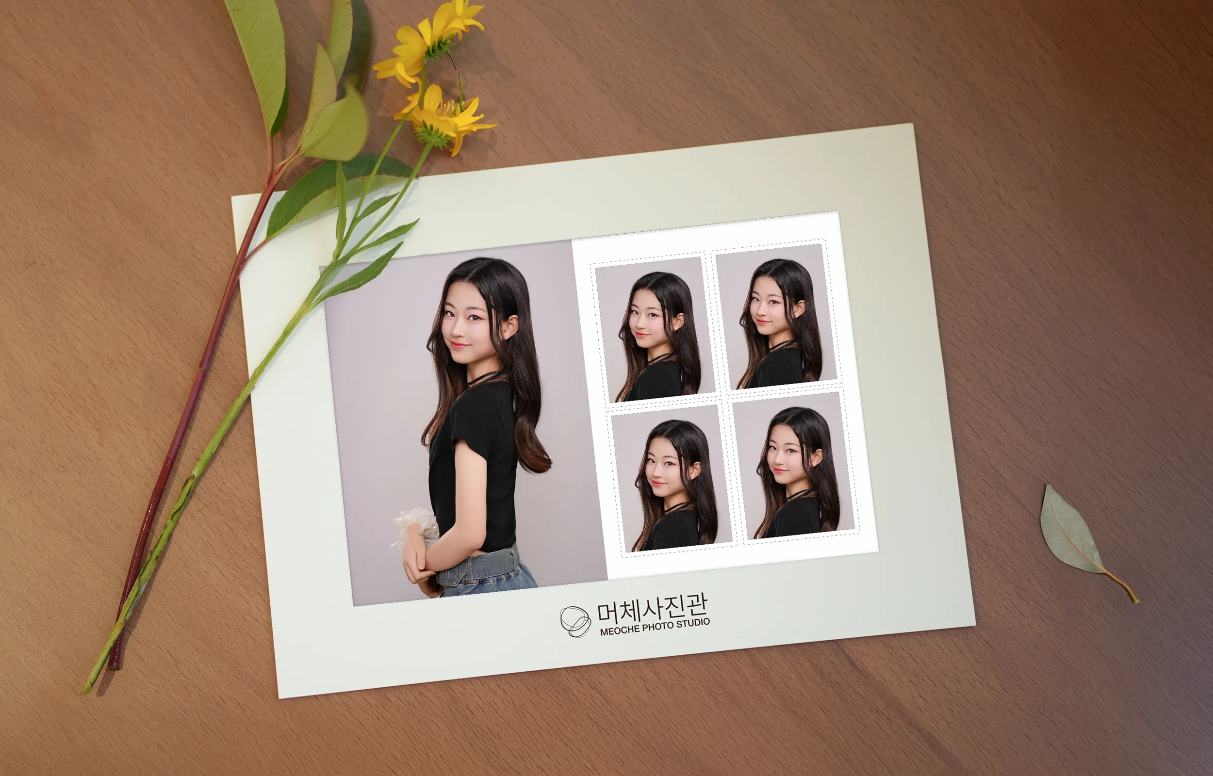 ProfilePackage_Background_250904